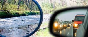 Как выбрать очки для водителя: антибликовые, поляризационные или солнцезащитные?